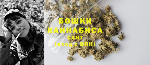 не бодяженный Гусиноозёрск