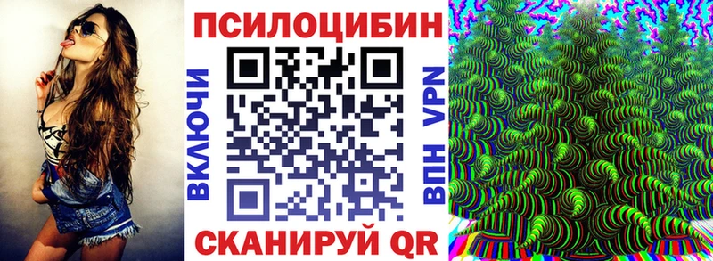 Псилоцибиновые грибы MAGIC MUSHROOMS закладки omg ссылка Тырныауз